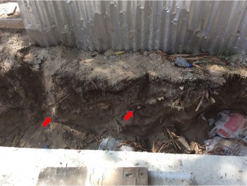 Figure 3. Buried archaeological horizon in section around septic tank Pangani February 2018
