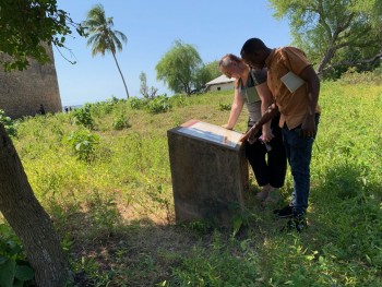 Figure 4: The CONCH team studying the information panels at Kilwa Kisiwani.