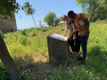 Figure 4: The CONCH team studying the information panels at Kilwa Kisiwani. 