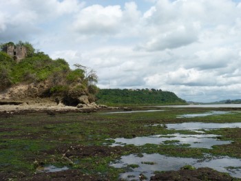Figure 1: Kikokwe Fort as seen from the intertidal zone. The fort lies at the mouth of the Pangani river on its southern bank. Photo credit Elinaza Mjema.